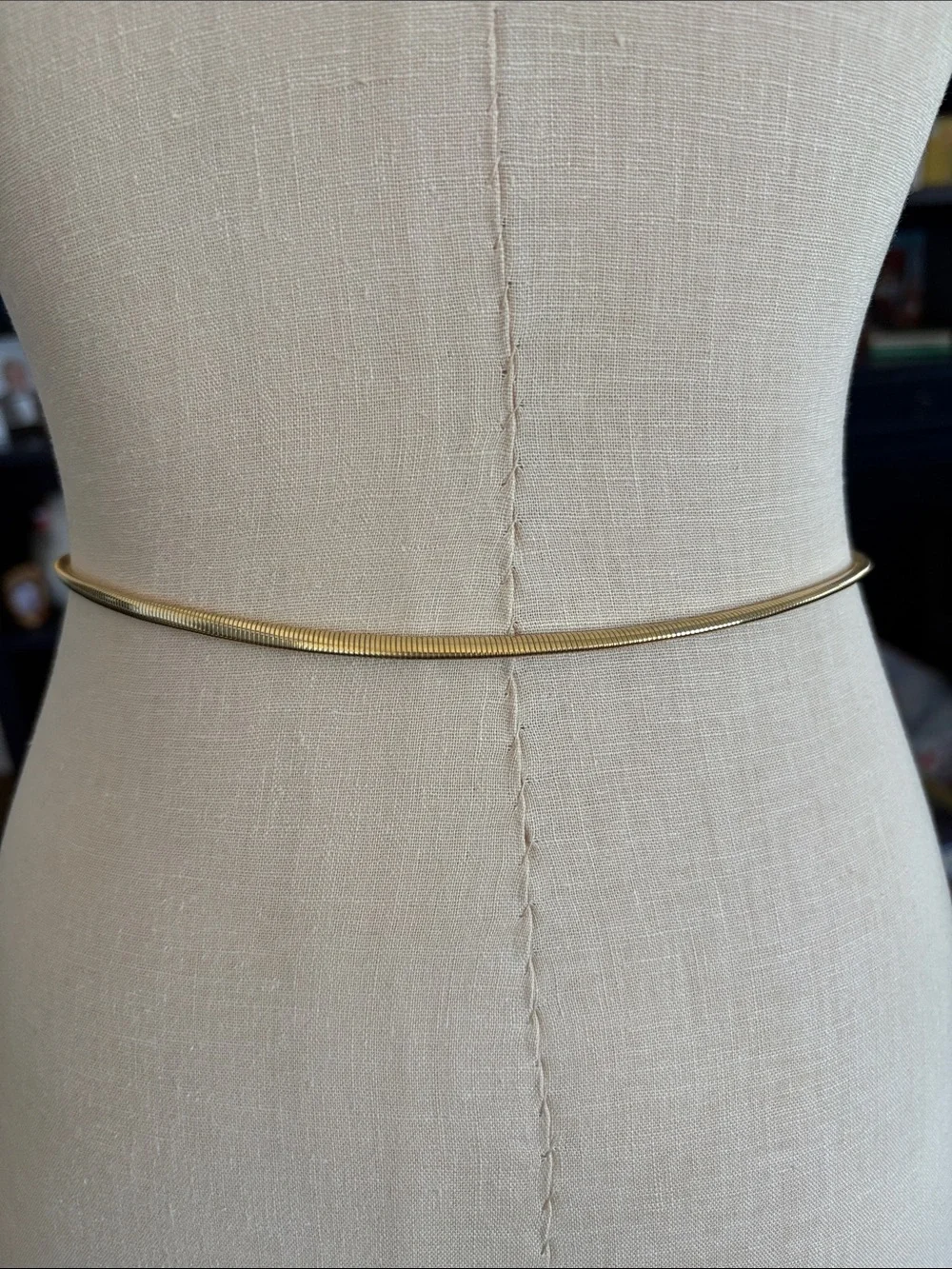 Gold Slim Metal Belt with Buckle Accent XS-S
